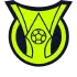 Brazilian Serie A badge