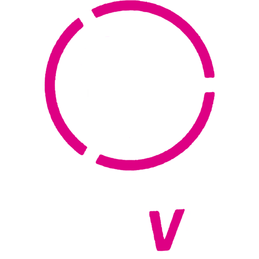 Venezuela Primera Division badge
