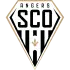 Angers badge