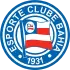 Bahia badge