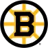 Boston Bruins badge