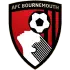 Bournemouth badge