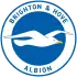 Brighton and Hove Albion badge