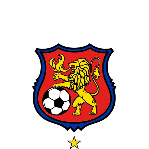 Caracas badge