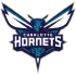 Charlotte Hornets badge