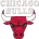 Chicago Bulls logo