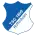 Hoffenheim logo