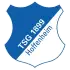 Hoffenheim badge