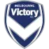 Melbourne Victory badge