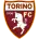 Torino logo