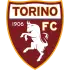 Torino badge
