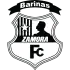 Zamora FC badge