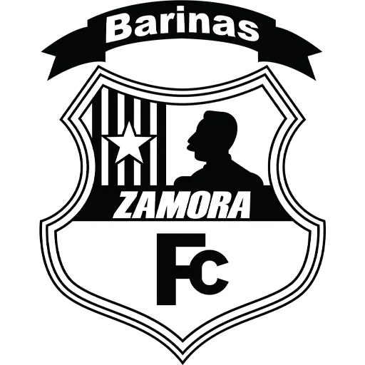 Zamora FC logo