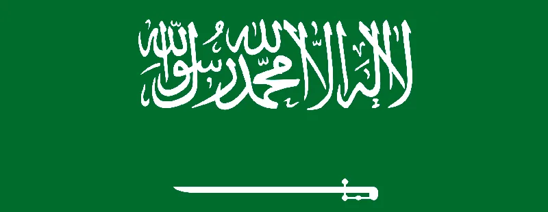 Saudi Arabia logo background
