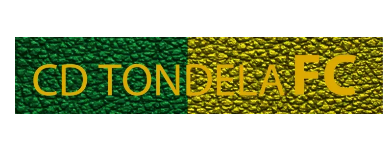 Tondela logo background