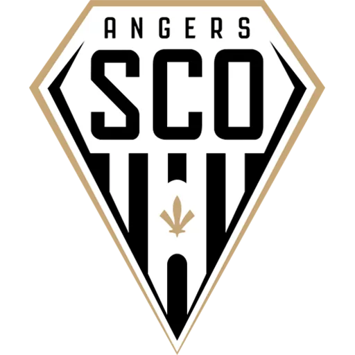 Angers badge