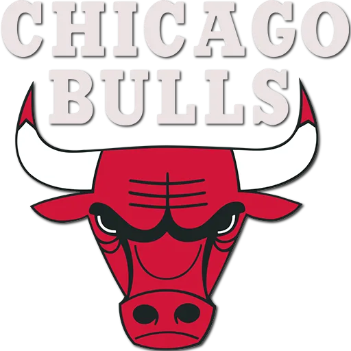 Chicago Bulls logo